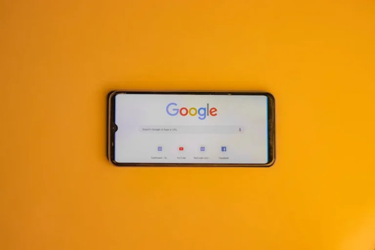 Behind the searches: why users look up brumeblog.com