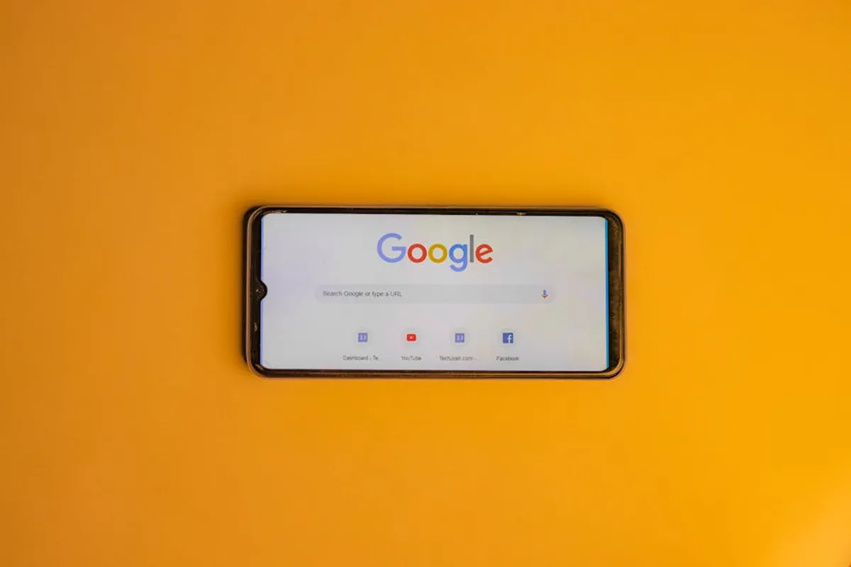 Behind the searches: why users look up brumeblog.com
